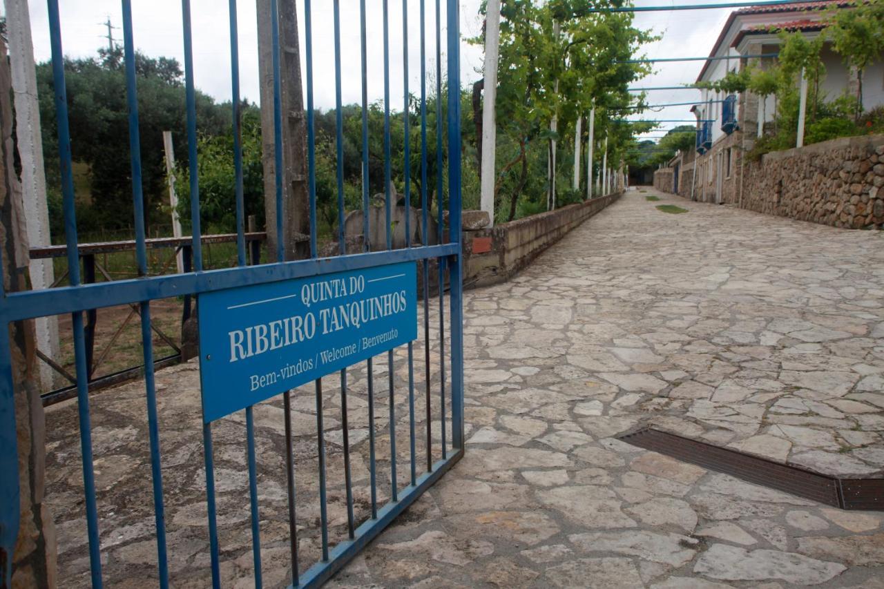 Quinta Ribeiro Tanquinhos Pension Tancos Buitenkant foto
