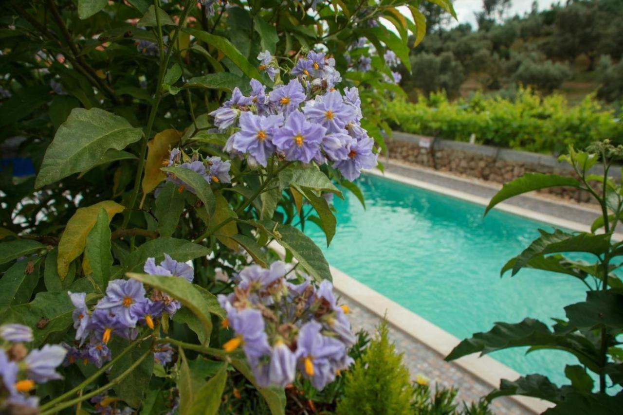 Quinta Ribeiro Tanquinhos Pension Tancos Buitenkant foto