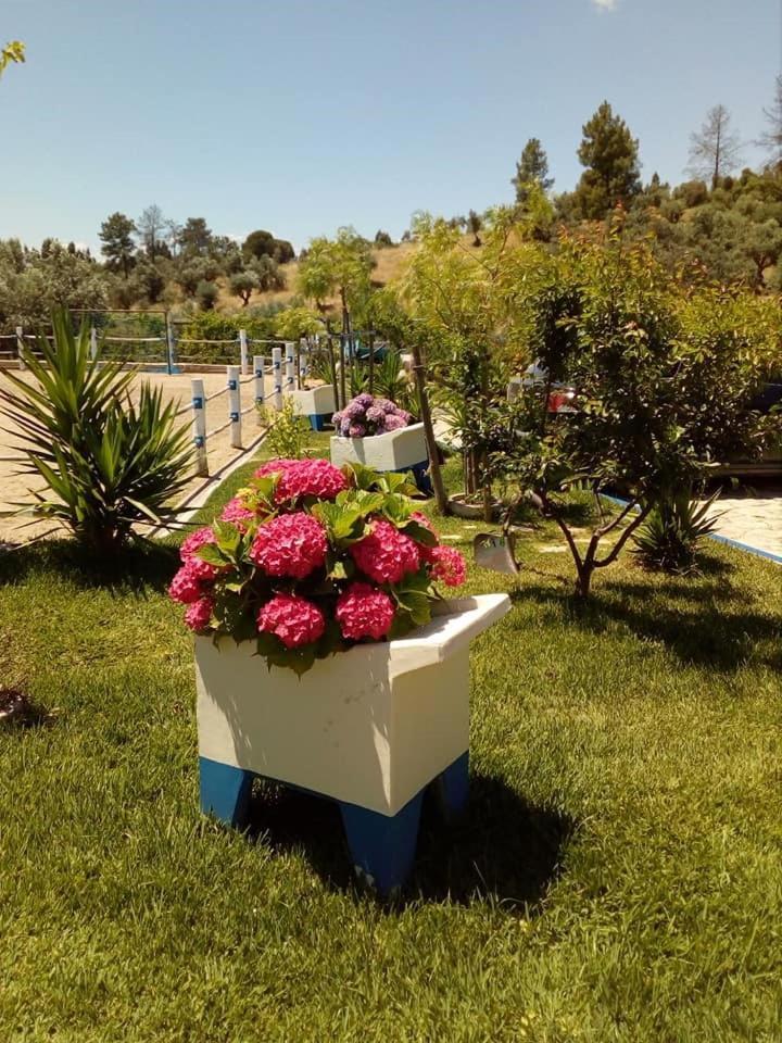 Quinta Ribeiro Tanquinhos Pension Tancos Buitenkant foto