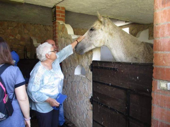 Quinta Ribeiro Tanquinhos Pension Tancos Buitenkant foto