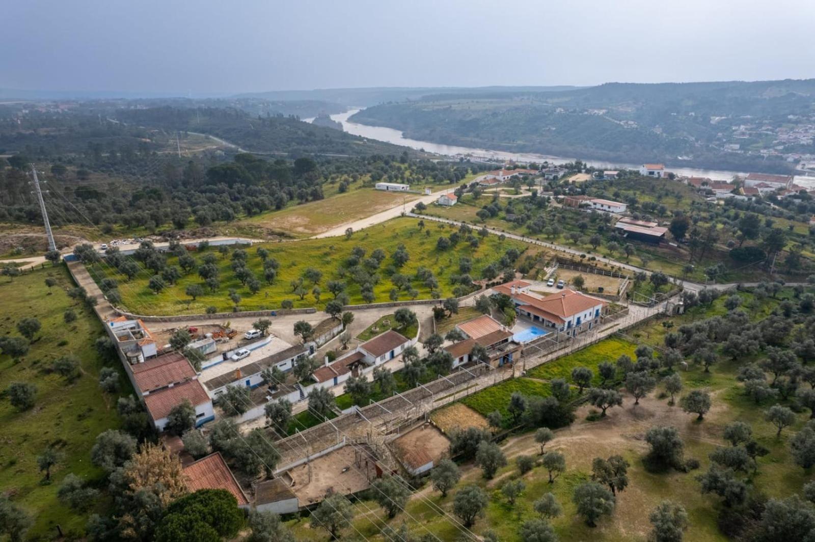 Quinta Ribeiro Tanquinhos Pension Tancos Buitenkant foto