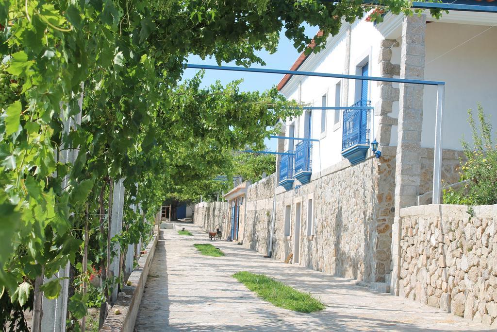 Quinta Ribeiro Tanquinhos Pension Tancos Buitenkant foto