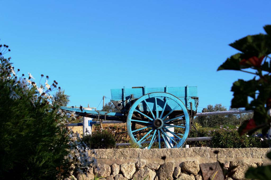 Quinta Ribeiro Tanquinhos Pension Tancos Buitenkant foto