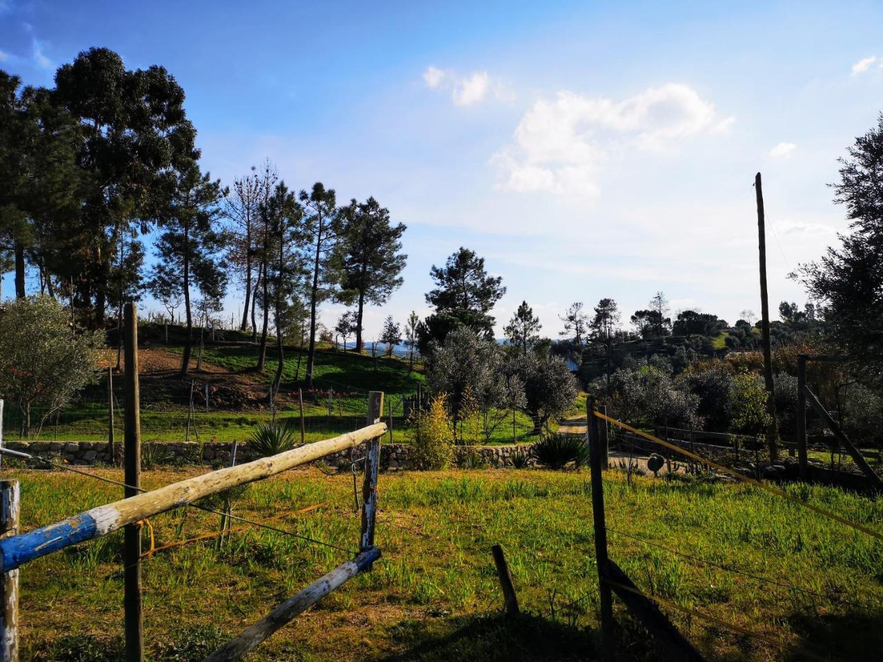 Quinta Ribeiro Tanquinhos Pension Tancos Buitenkant foto