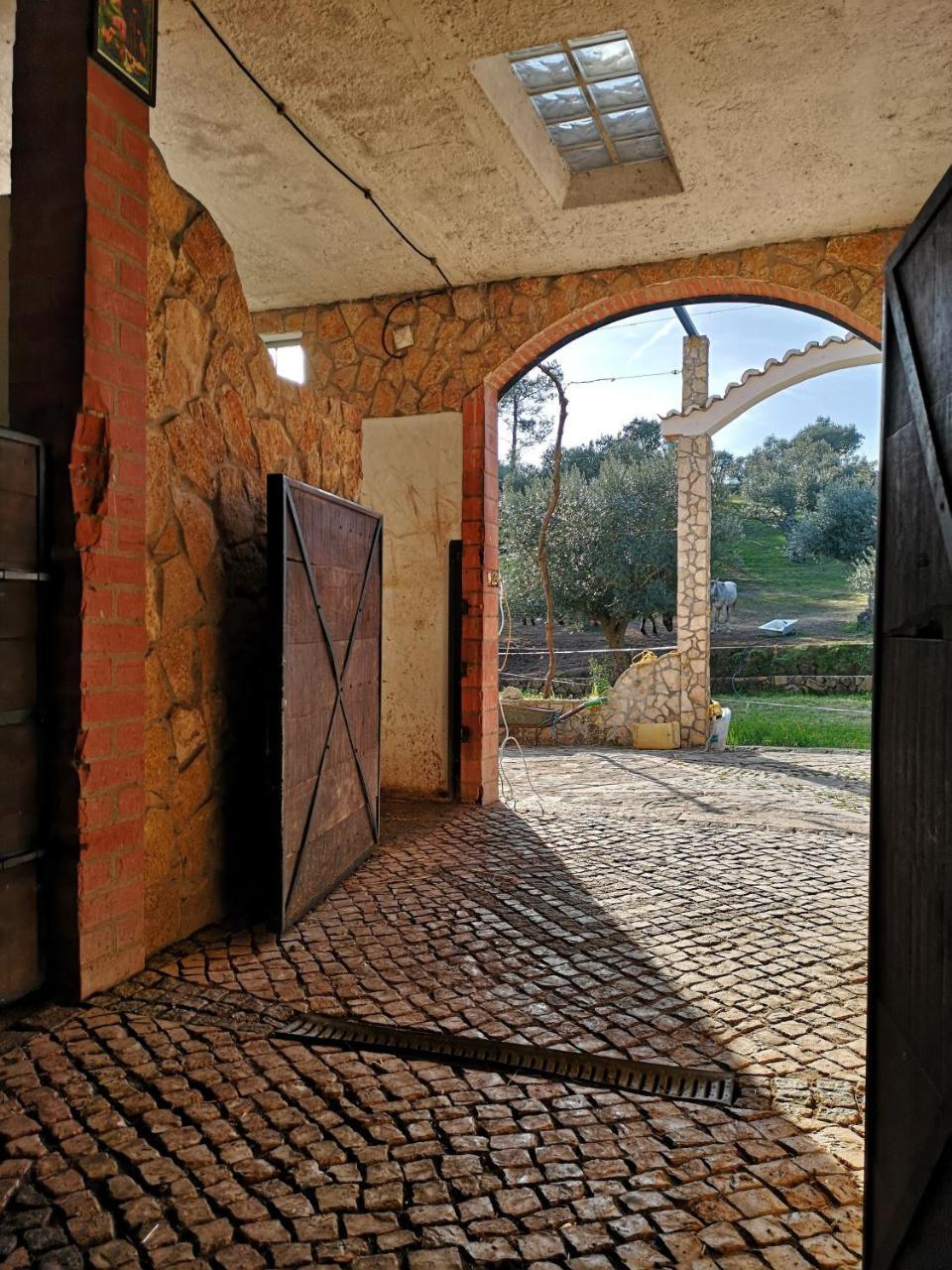 Quinta Ribeiro Tanquinhos Pension Tancos Buitenkant foto