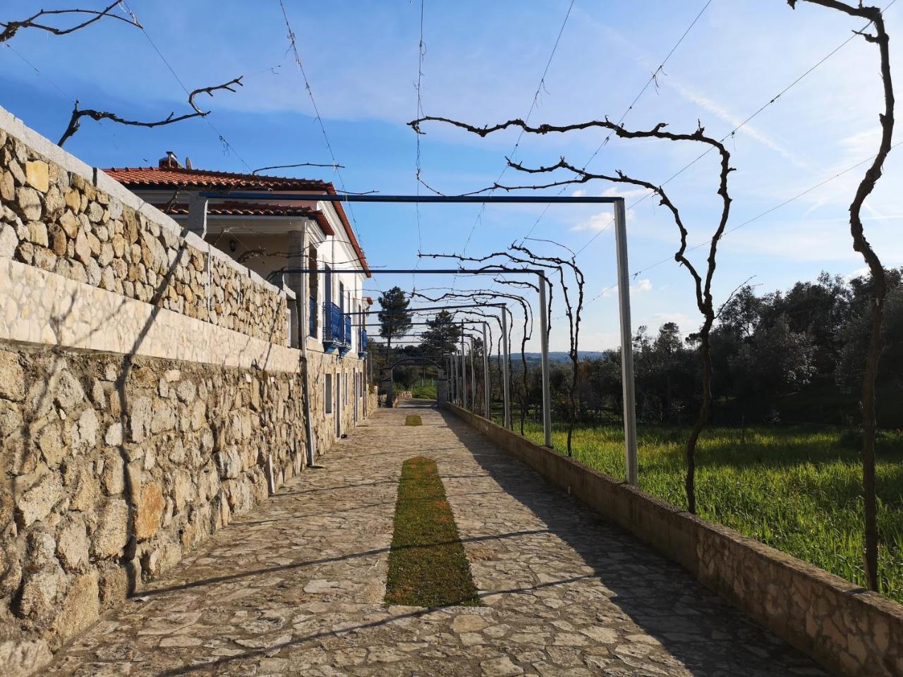 Quinta Ribeiro Tanquinhos Pension Tancos Buitenkant foto